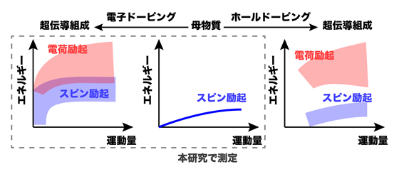 図3. 銅酸化物超伝導体におけるスピン・電荷励起の概略図