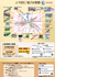 pdf image